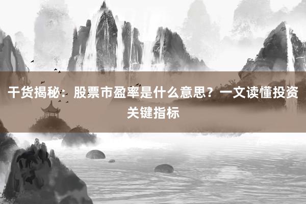 干货揭秘：股票市盈率是什么意思？一文读懂投资关键指标