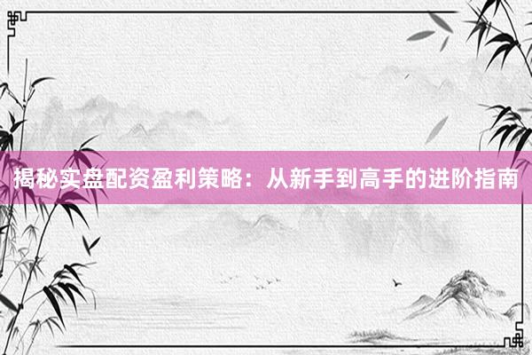 揭秘实盘配资盈利策略:从新手到高手的进阶指南