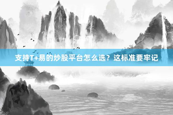 支持T+易的炒股平台怎么选?这标准要牢记