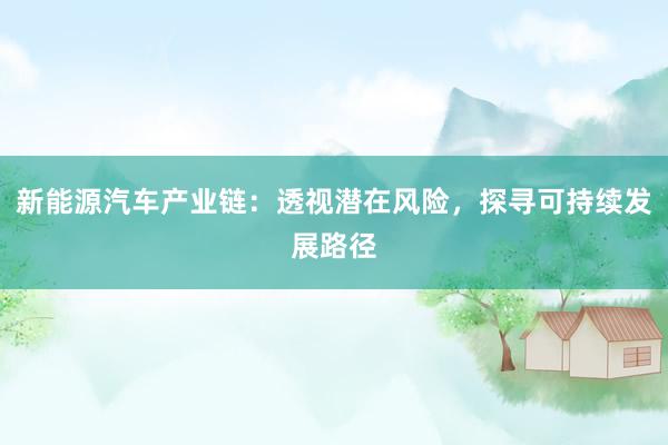 新能源汽车产业链：透视潜在风险，探寻可持续发展路径