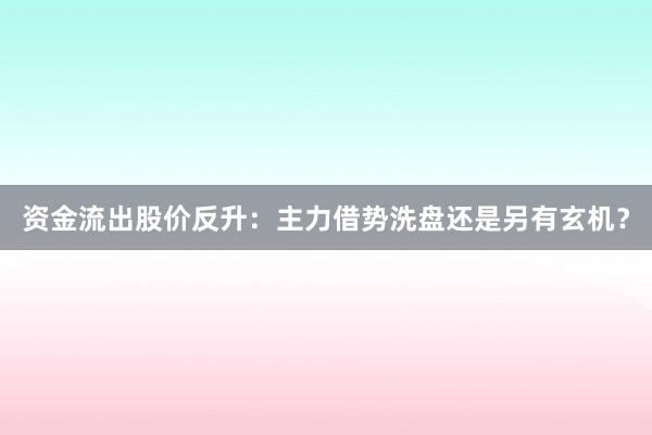资金流出股价反升：主力借势洗盘还是另有玄机？