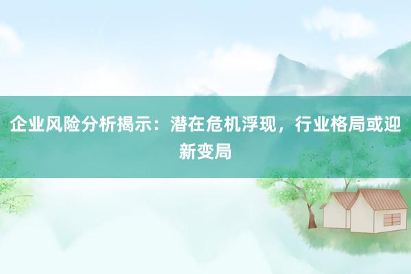 企业风险分析揭示：潜在危机浮现，行业格局或迎新变局