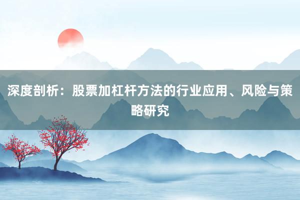 深度剖析：股票加杠杆方法的行业应用、风险与策略研究