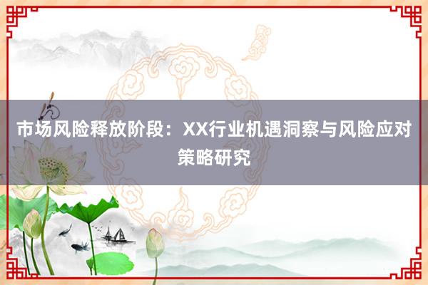 市场风险释放阶段:XX行业机遇洞察与风险应对策略研究