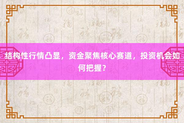 结构性行情凸显，资金聚焦核心赛道，投资机会如何把握？