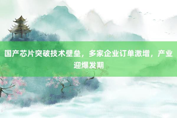 国产芯片突破技术壁垒，多家企业订单激增，产业迎爆发期