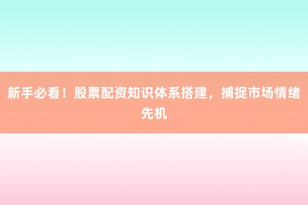 新手必看!股票配资知识体系搭建,捕捉市场情绪先机
