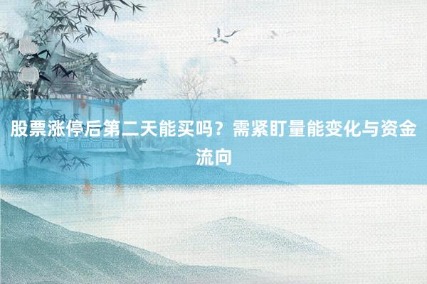 股票涨停后第二天能买吗？需紧盯量能变化与资金流向