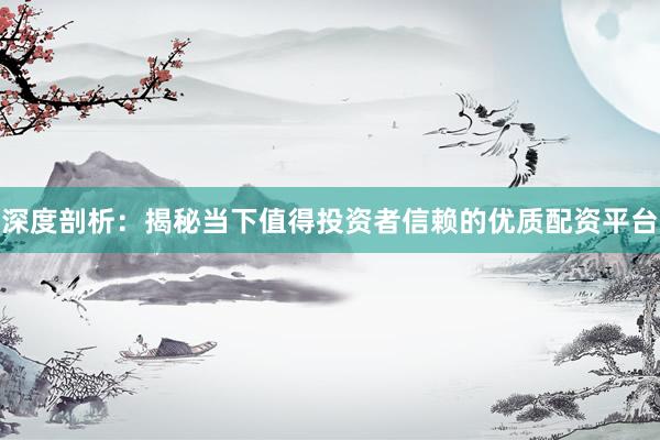 深度剖析：揭秘当下值得投资者信赖的优质配资平台