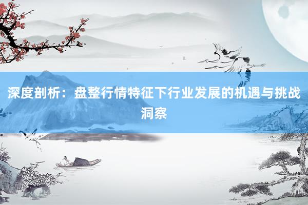 深度剖析：盘整行情特征下行业发展的机遇与挑战洞察