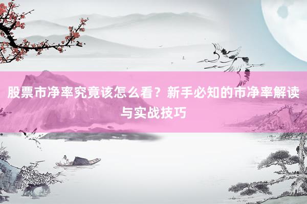 股票市净率究竟该怎么看？新手必知的市净率解读与实战技巧