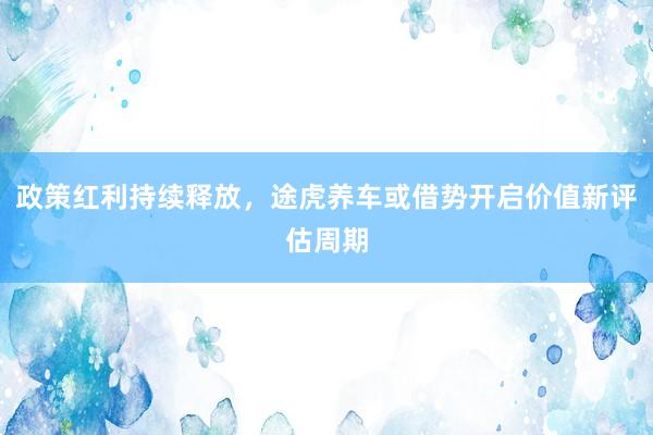 政策红利持续释放，途虎养车或借势开启价值新评估周期