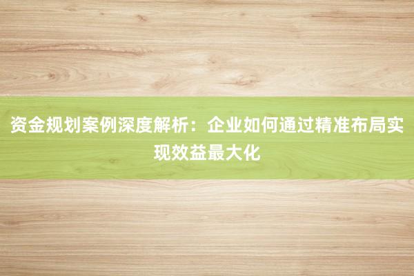 资金规划案例深度解析：企业如何通过精准布局实现效益最大化