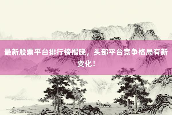 最新股票平台排行榜揭晓，头部平台竞争格局有新变化！